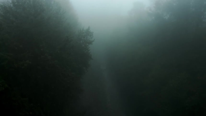 Fog creeps down a river
