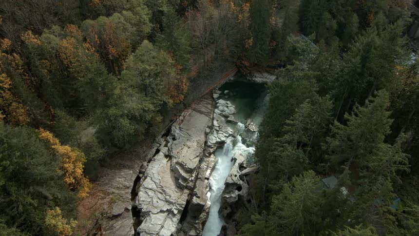A river weaves through the forest