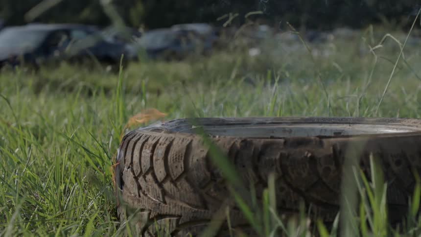 A tire laying in the grass with flames coming off of it