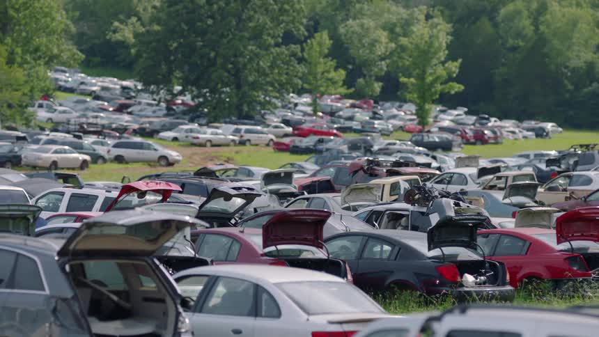A junkyard sprawls along in front of us with many different makes and models of vehicles