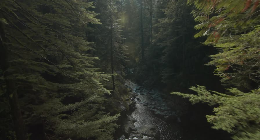 Mountain Forest Aerials