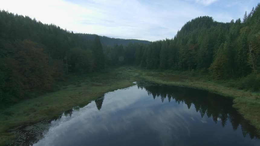 Foggy Wetland Aerial