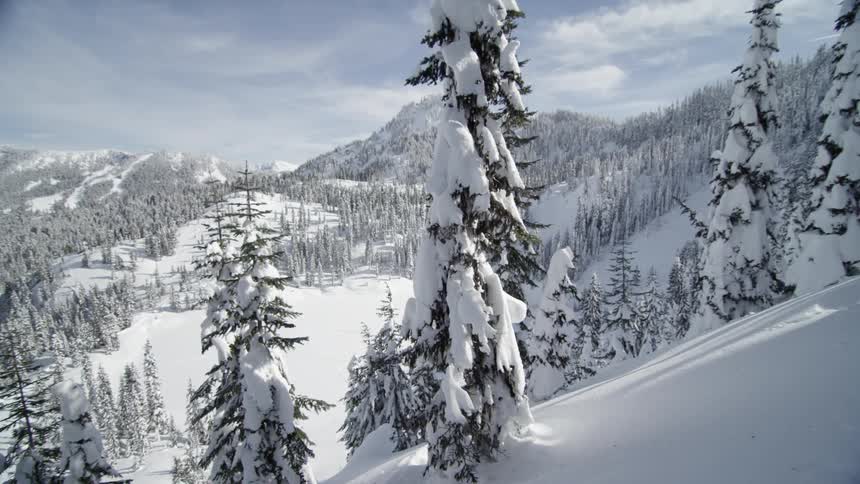 A view of a snowy mountainside generously dotted with pine trees under a partially cloudy sky
