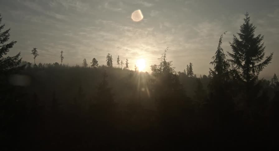 Sun is filtering through the trees