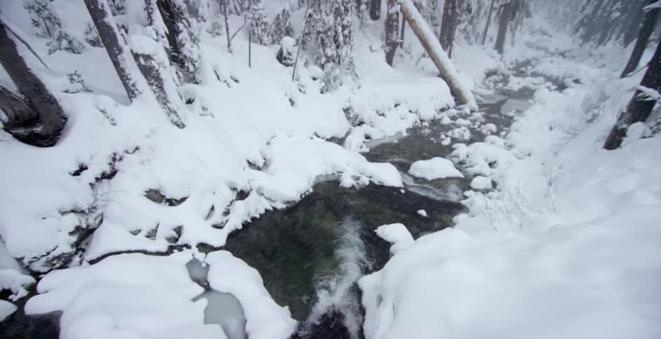 View of a creek running between trees while it is snowing