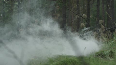 Smoke rolls through the forest