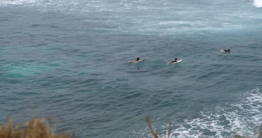 Surfers waiting for a wave