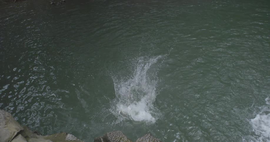A child is jumping into the water