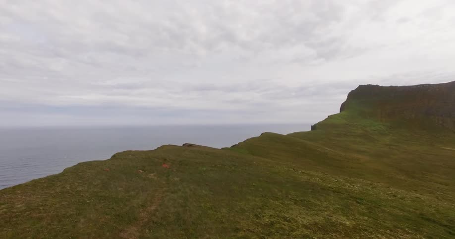 Aerial view of grassy cliffs next to the ocean as birds fly overhead on a cloudy day