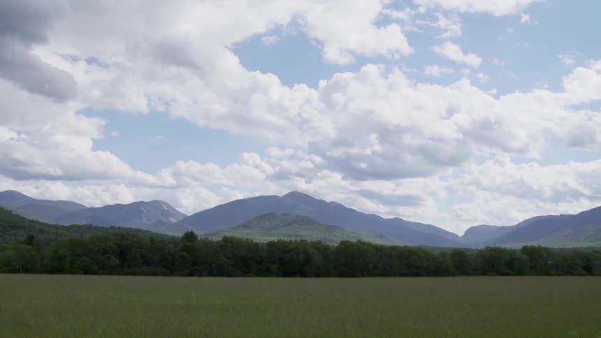 Grassy field, line of trees, and mountains on a cloudy day