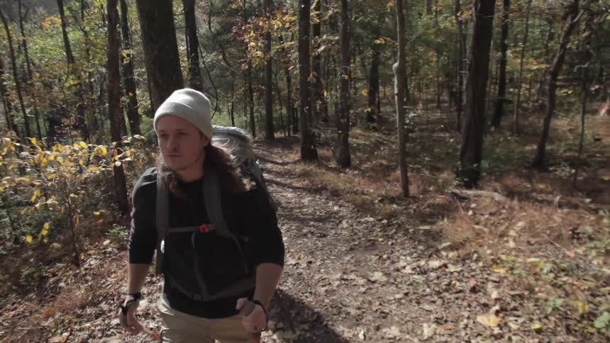 A person hiking in the woods