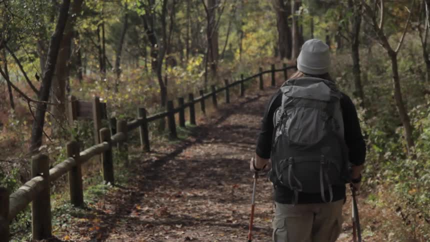 A man hiking in the woods