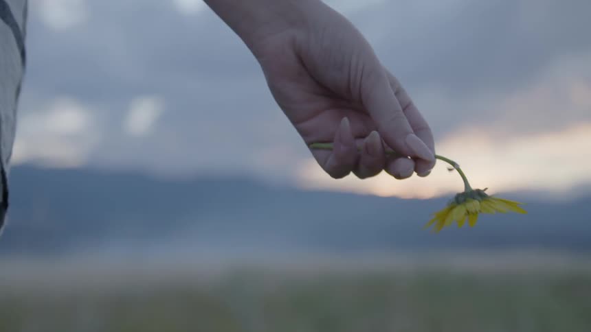 A person holding a flower