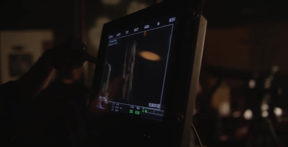 People are filming a sow
