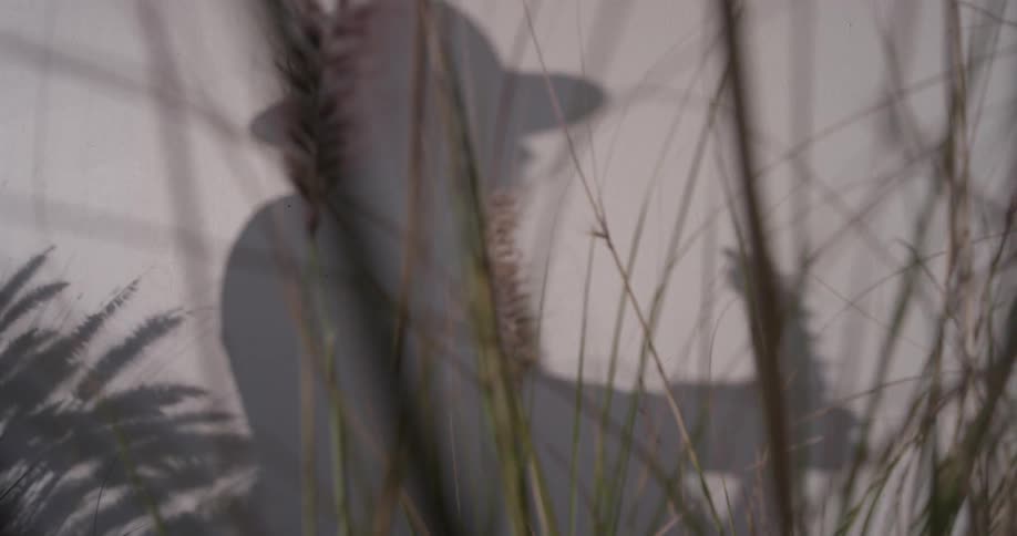Shadow of a woman playing guitar