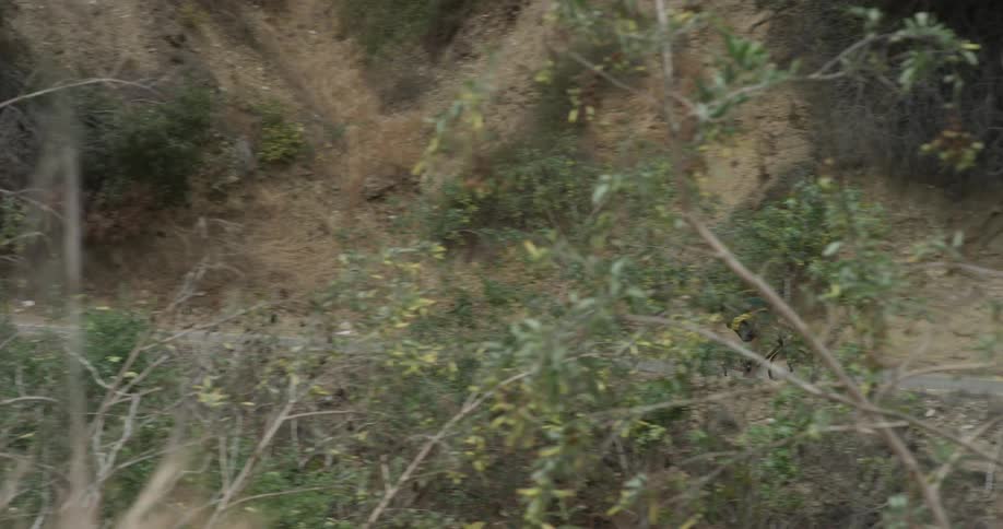 A man that is riding a bicycle down the mountains