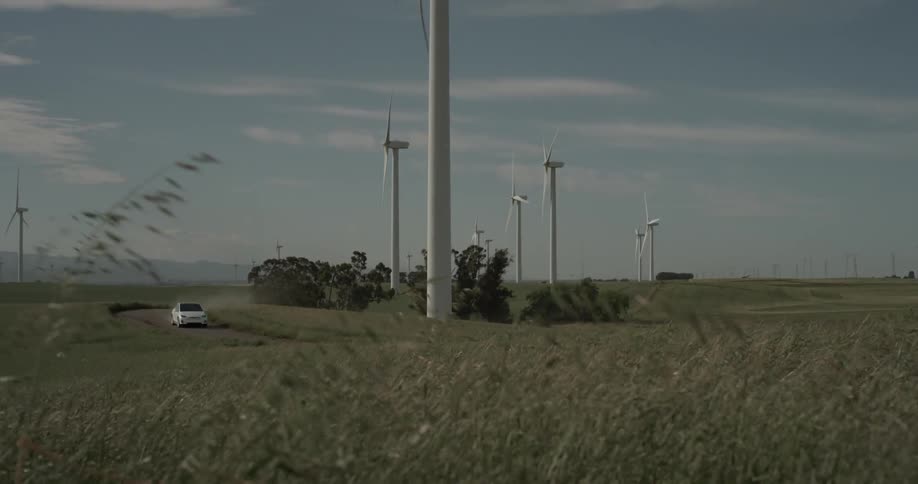 A silver car drives by as the wind whips the weeds in the field