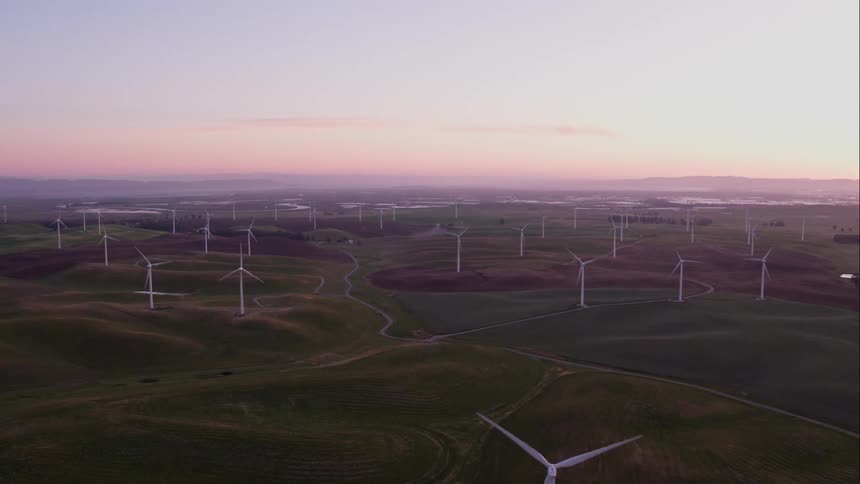 A rolling green field has many windmills installed on them