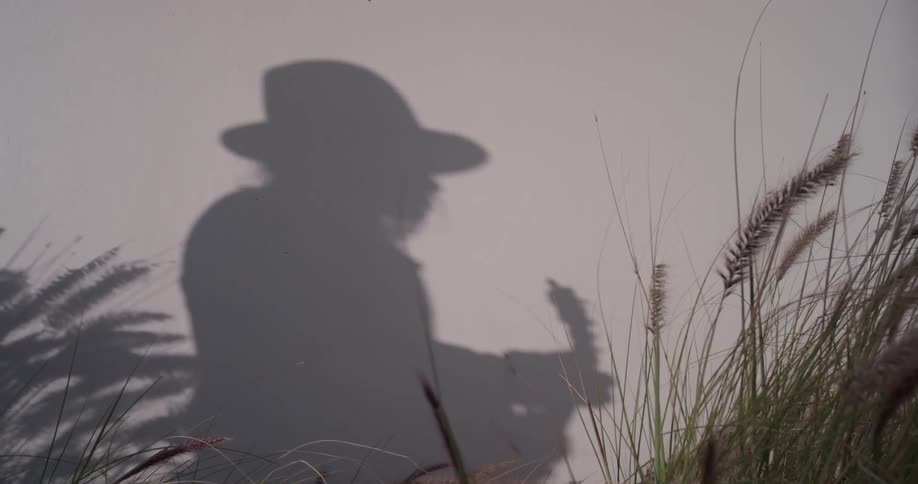 The shadow of a woman playing guitar shows on a white background in a field