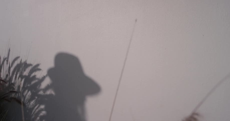 A shadow of a woman is walking outside