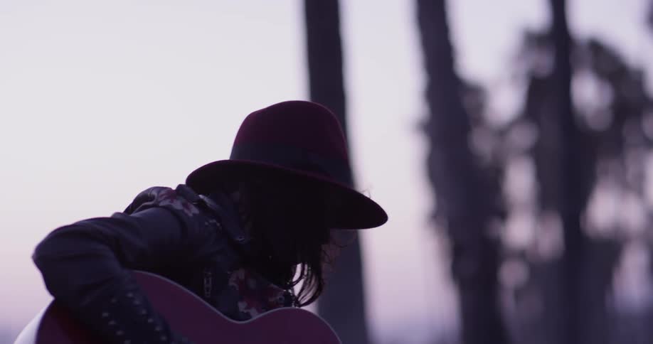 A woman sitting on the grass strumming a guitar at dusk