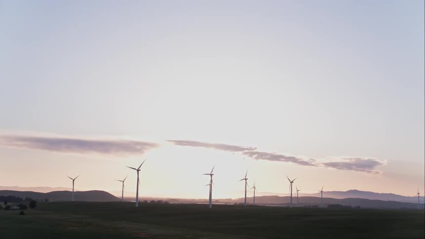 Rows of windmills spin in the morning light