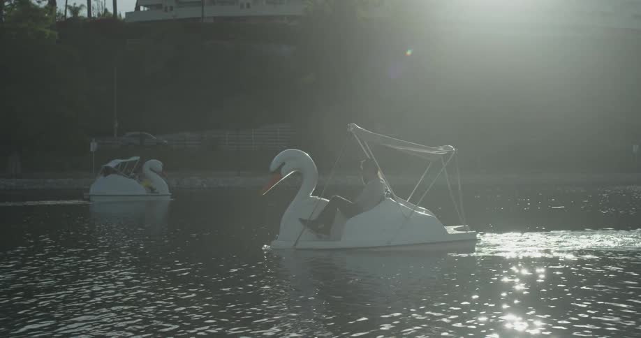 Couple Riding Pedal Boat In Pond