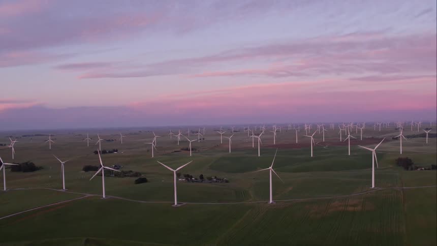 A large group of windmills rotating in a field