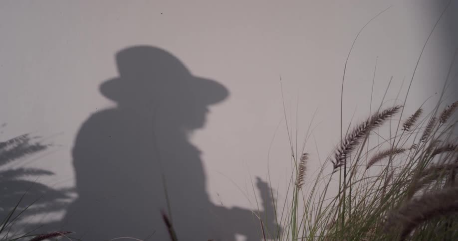 The shadow of a woman playing guitar and dancing outside