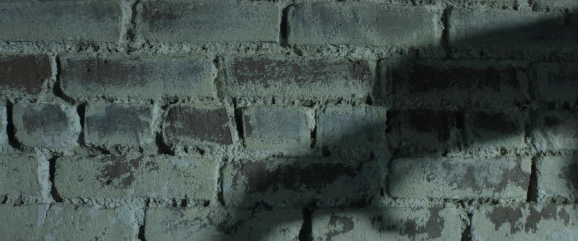 A shadow of hands making circles appears on a brick wall