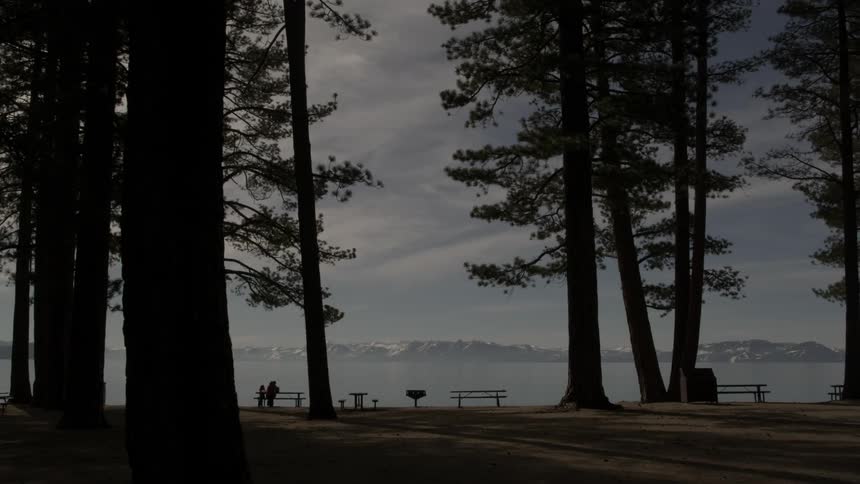 People sitting at a picnic table in a park with trees and mountains