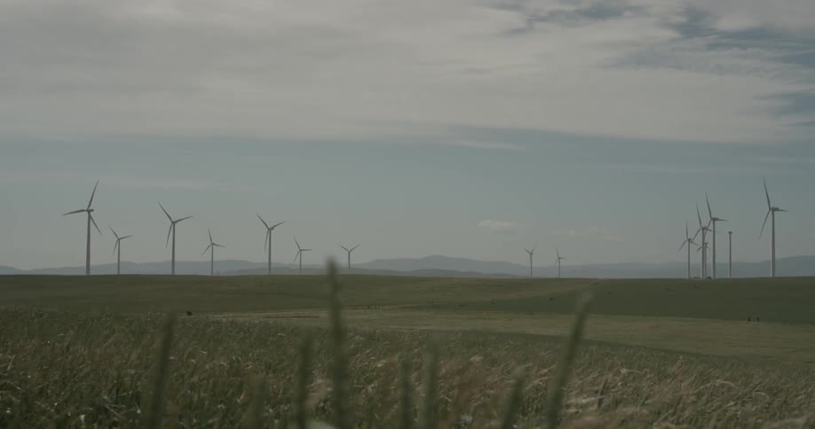 A lot of windmills that are rotating in a grassy field