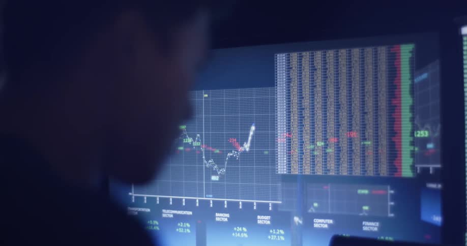 A person that is looking at graphs on a computer
