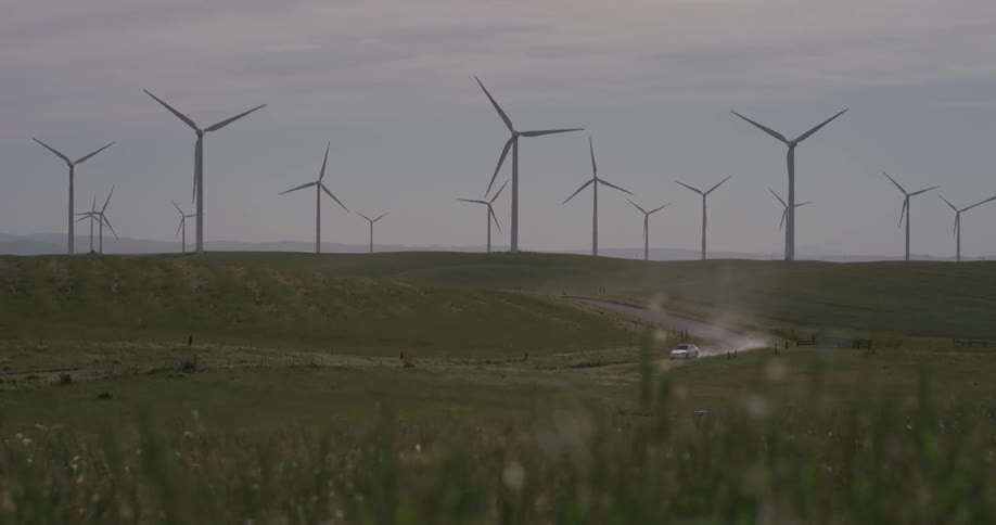 A car drives down a rural road with lots of windmills on either side of it