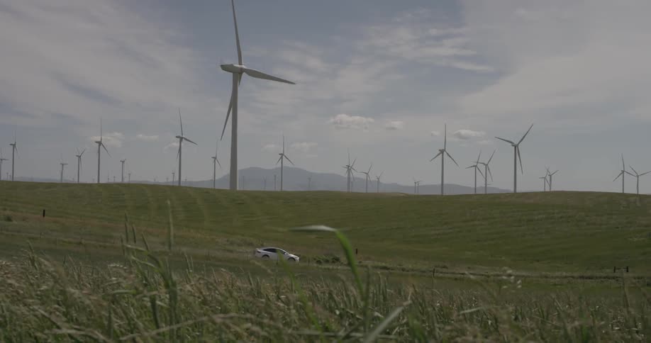 The wind bends the grass while the white car passes by