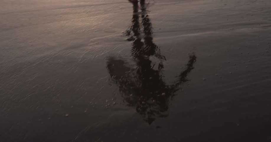 Surfer carrying surfboard walks through sand on beach at sunset