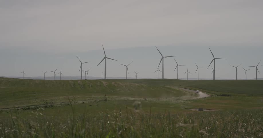 Wind turbines turn in fields in the distance while tall grass blows in the breeze
