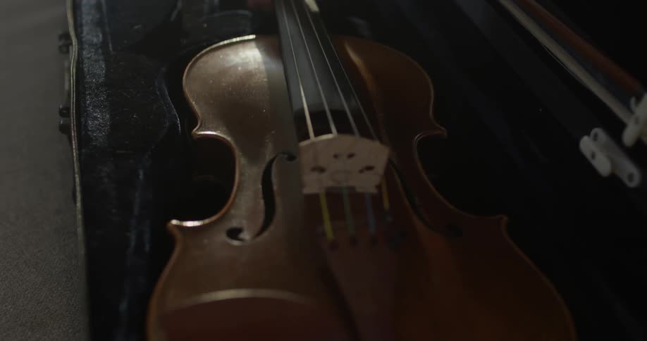 Violin Player At Home