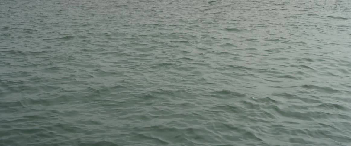 A large body of water gently moving