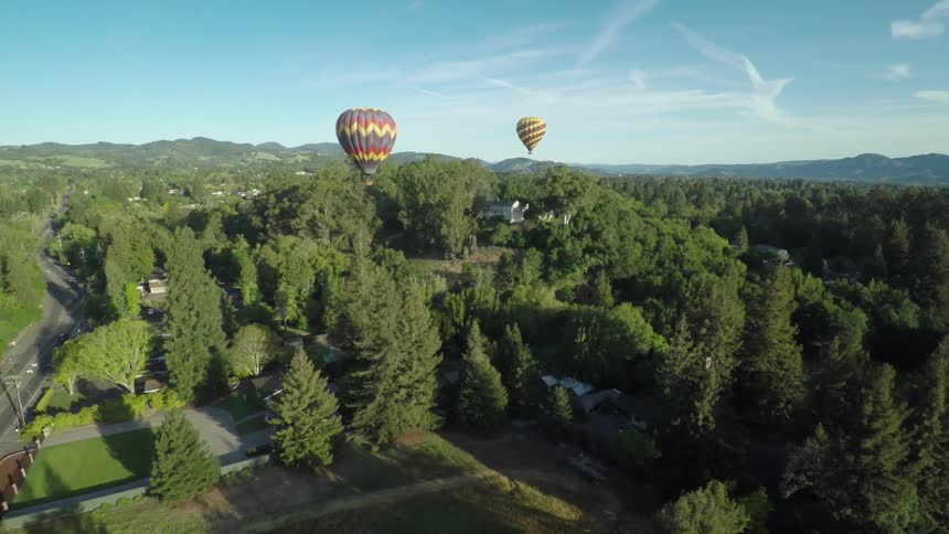 Hot air balloons in the sky