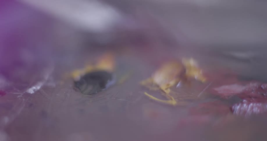 A person working on painting on a canvas
