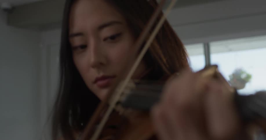 Violin Player At Home