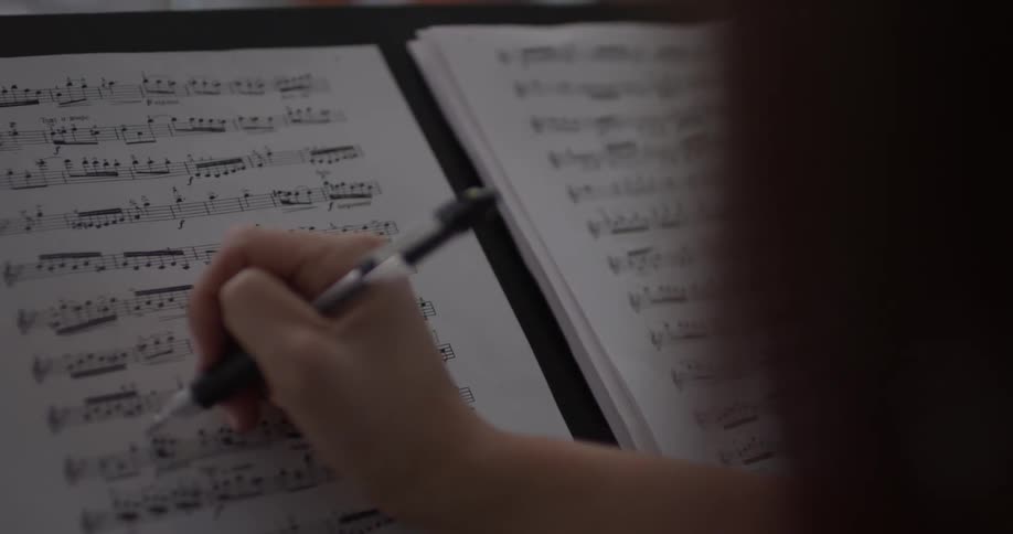 Violin Player At Home
