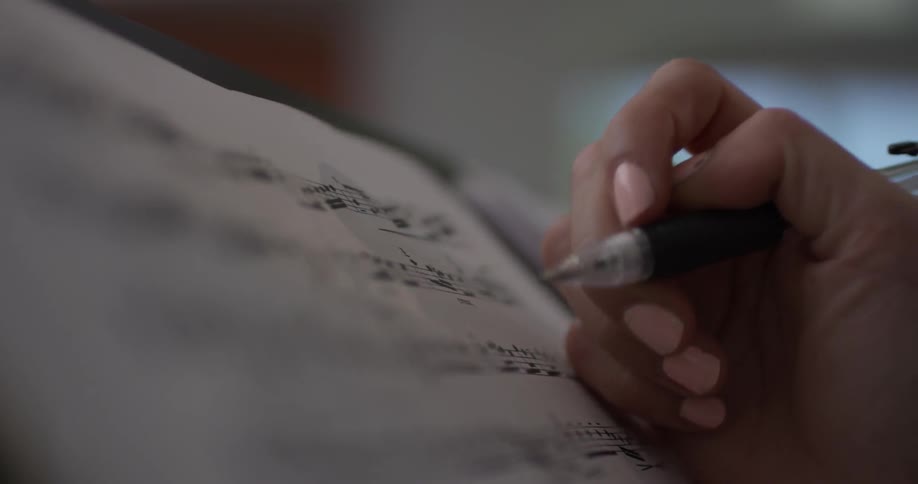 Violin Player At Home