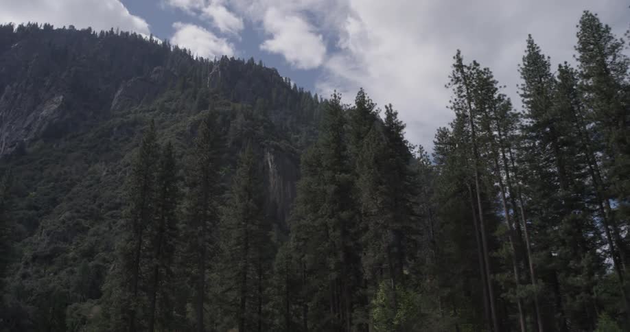 Clouds form in the sky above forest trees