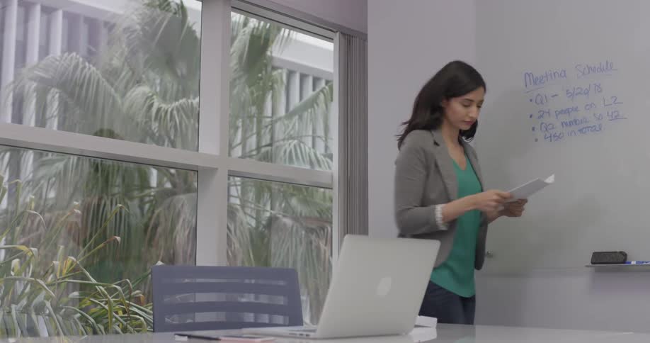 Businesswoman Working At An Office