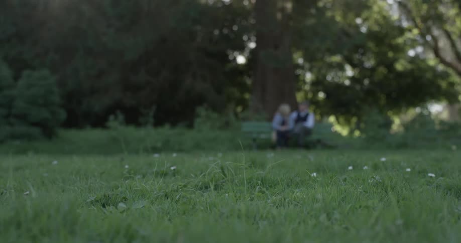 A couple sit on a bench surrounded by nature