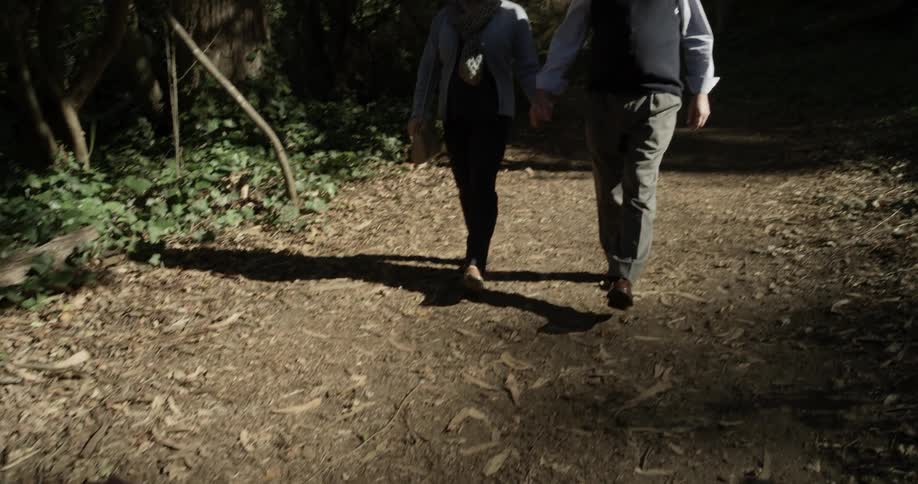 Older couple walks through the forest at noon