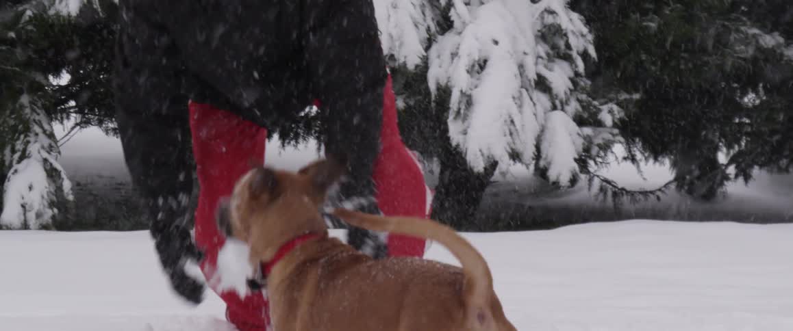 A man scooping up snow while his dog frolics in the snow as more snow continues to fall