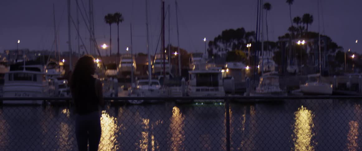 The backside of a woman standing at a fence overlooking a marina